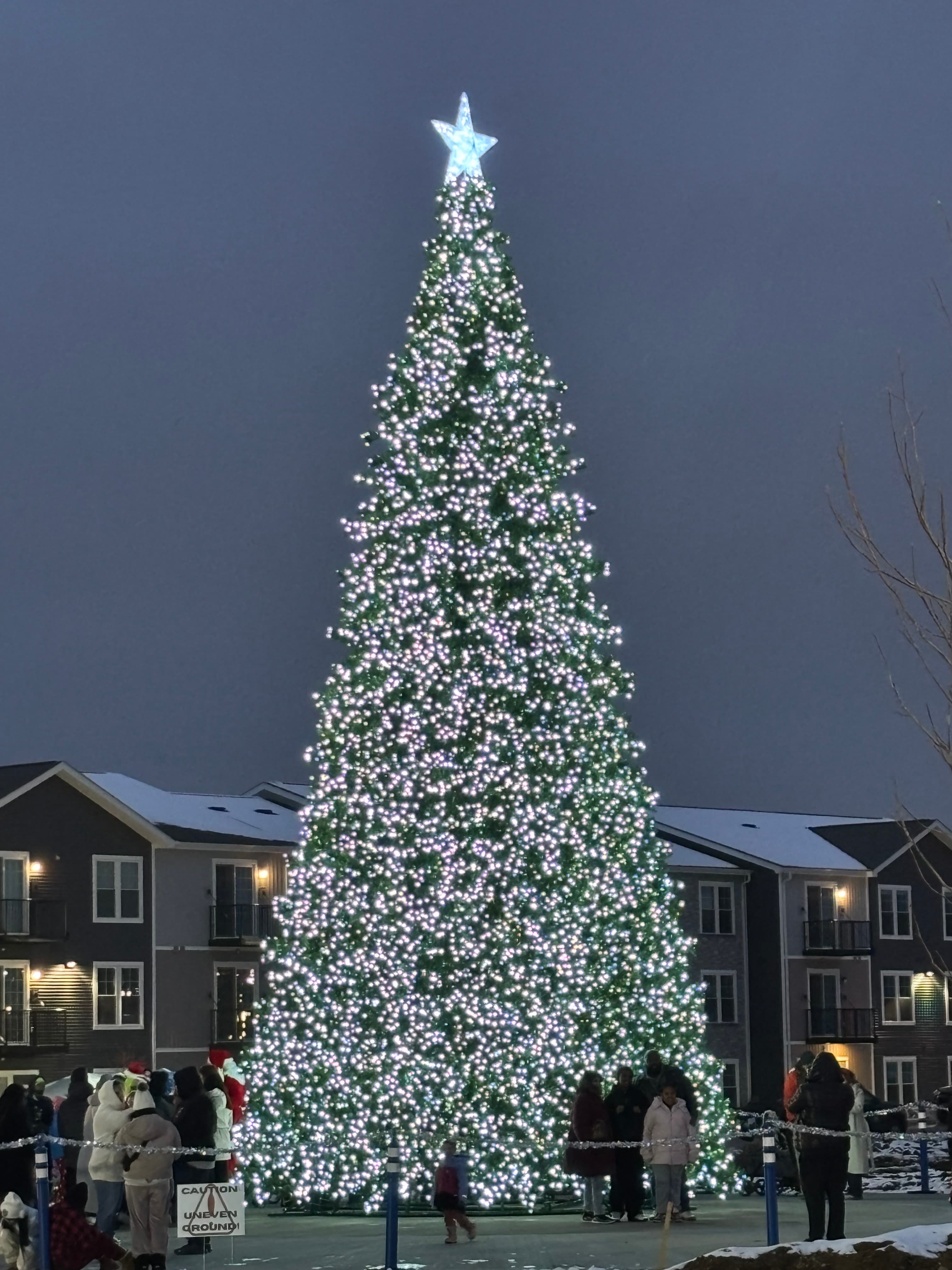 Finished large white-light Christmas tree at Huber Heights