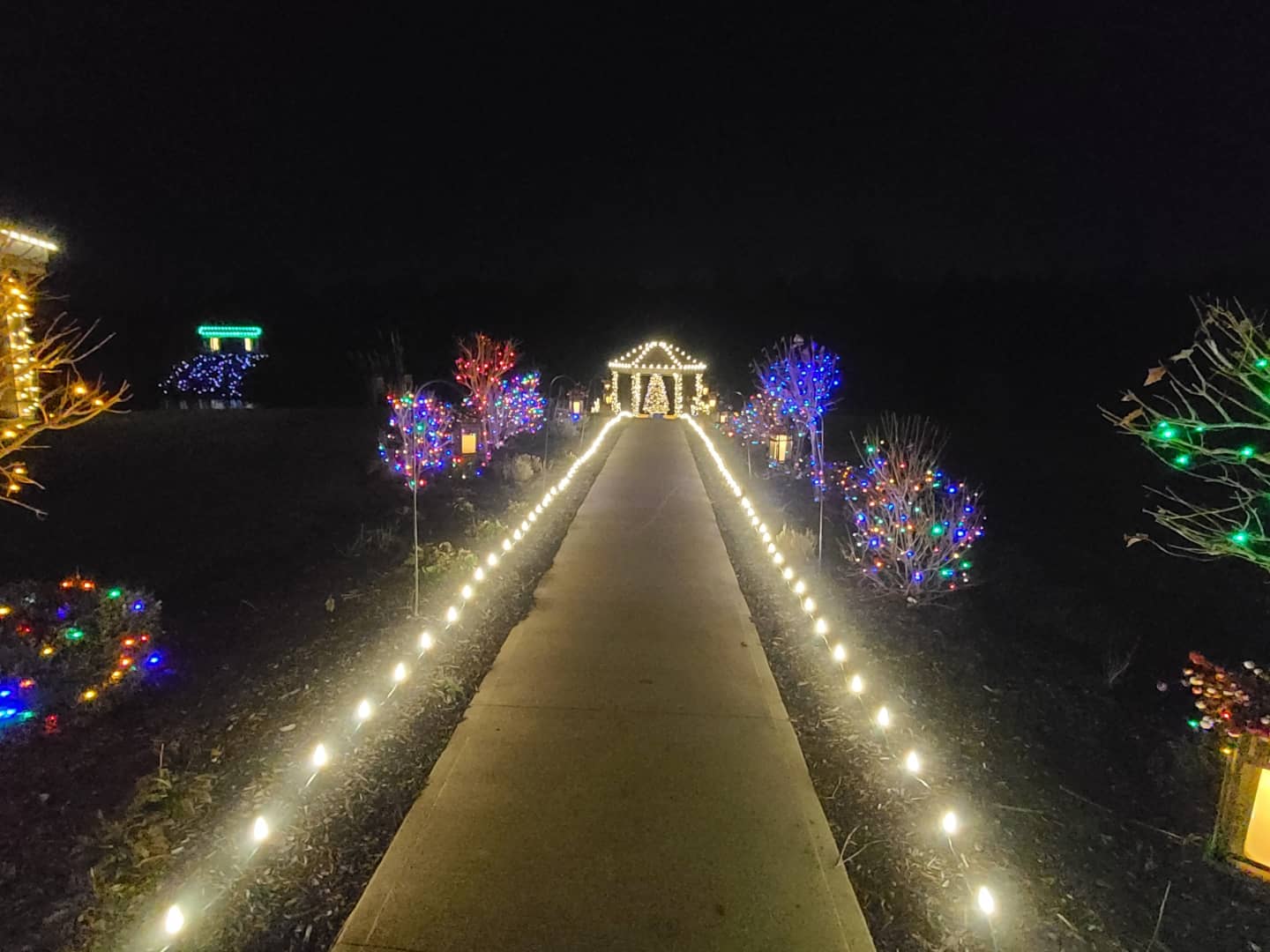 Illuminated walkway bordered by warm-white and colorful holiday lights