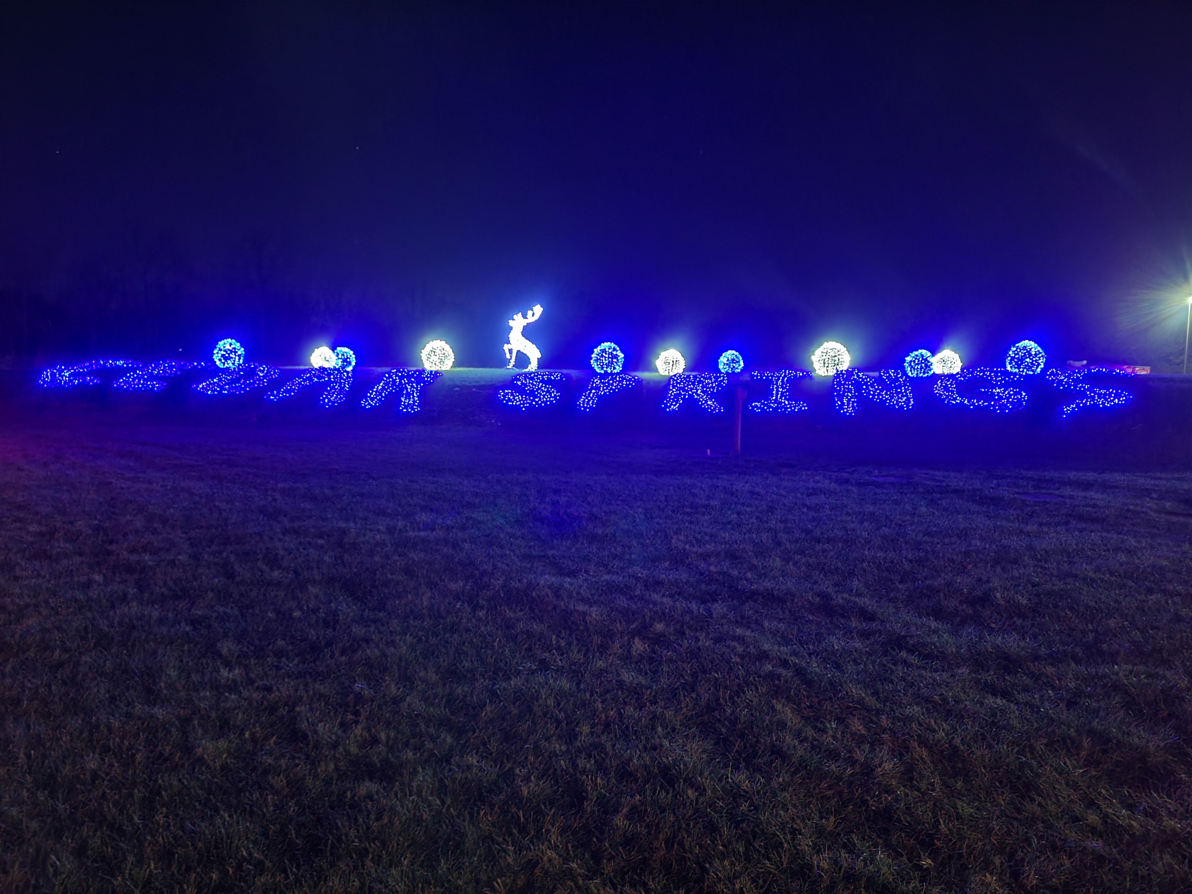 Blue-and-white ground lighting display with an illuminated reindeer