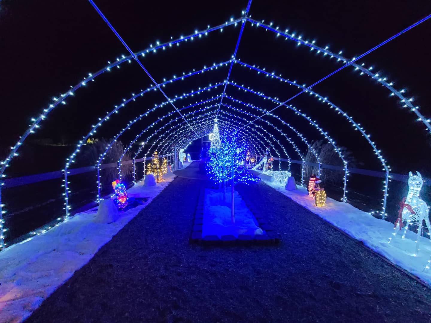A glowing white-light holiday tunnel