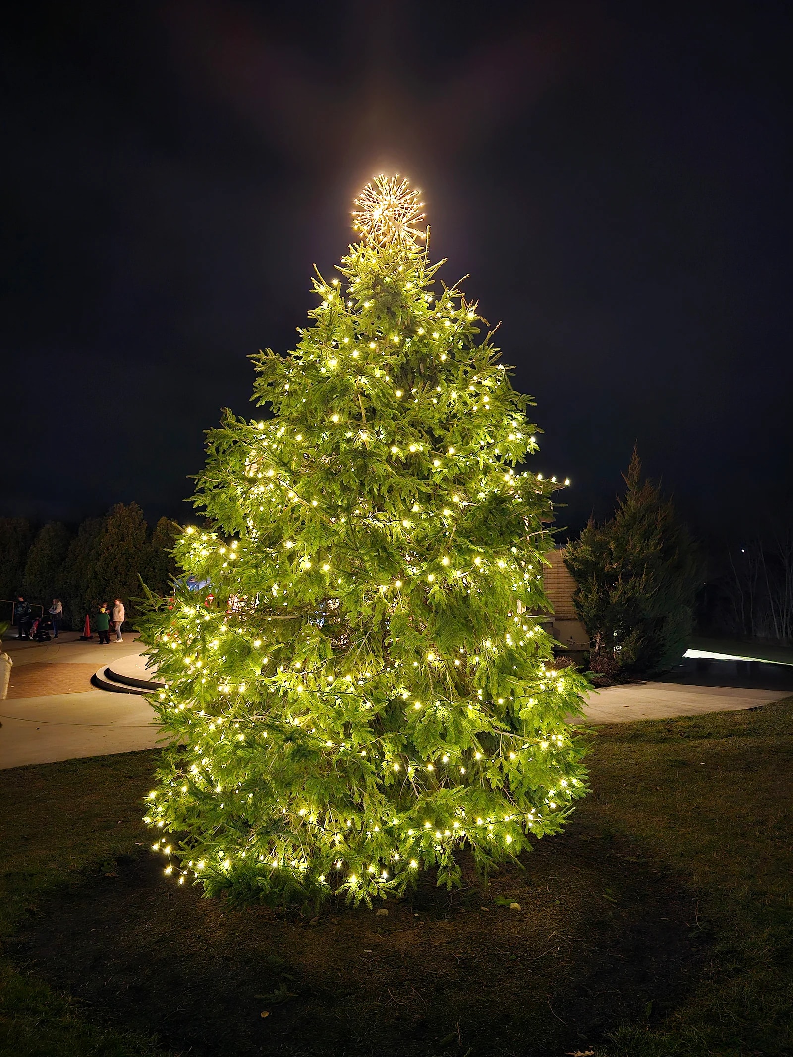 Natural Huber Heights community Christmas tree illuminated with warm-white lights in 2023