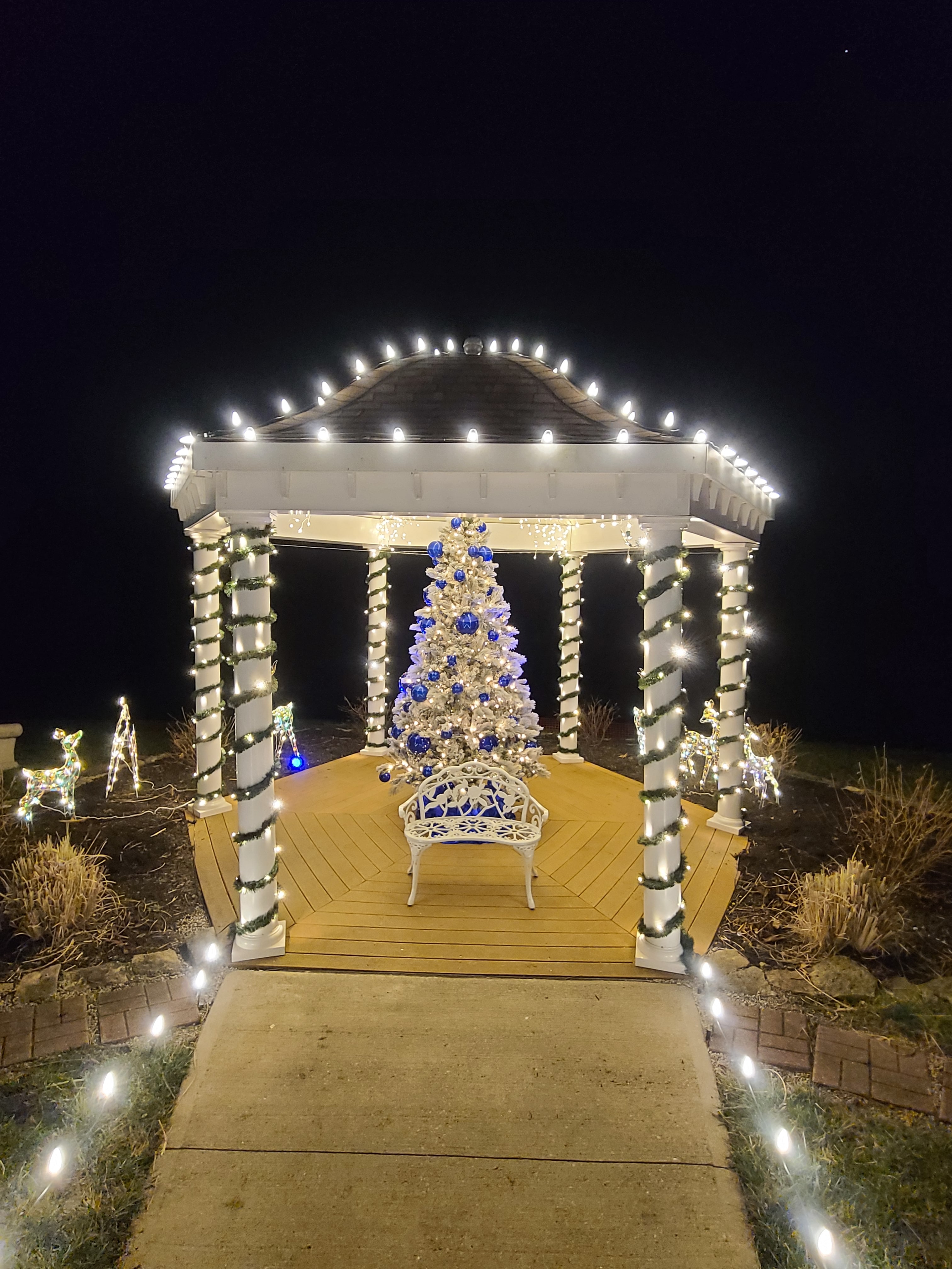 White holiday tree glowing beneath an illuminated pavilion